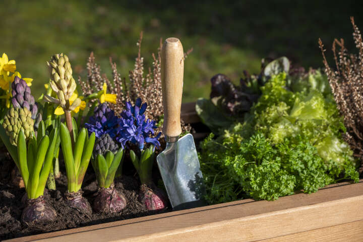 dobar Hochbeet Florenz mit erhöhter Ablage